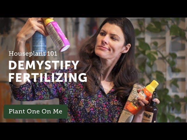 Houseplant 101: Complete Guide to Fertilizing Houseplants — Ep 122