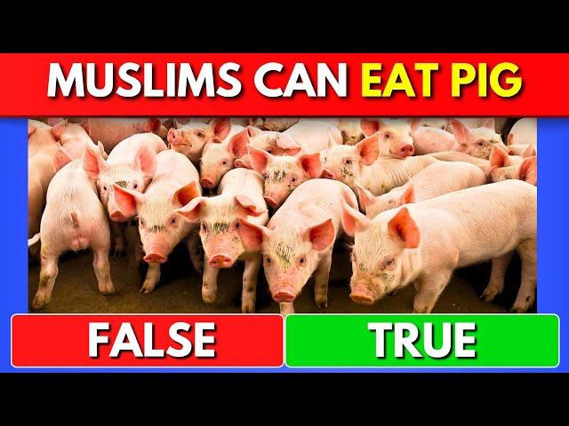 True or False Islam Edition | Islam Quiz
