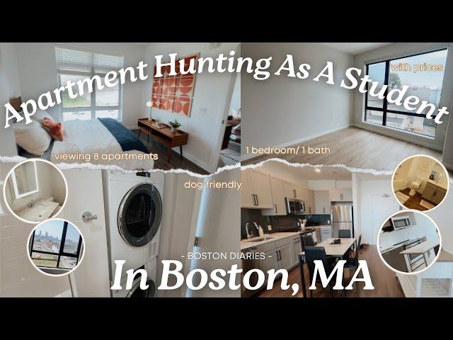 Apartment Hunting In Boston, MA As A Student  |  Touring 8 Units, Prices, Amenities & Dog Friendly