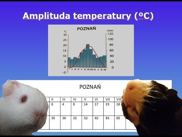 Jak odczytywać klimatogram? (geografia - lekcja online dla klasy 5 szkoły podstawowej)