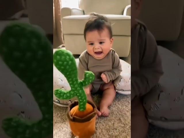 Pbooo Dancing Talking Cactus Mimicking Toy,Talking Repeat Singing Sunny Cactus Toy 120 Pcs Songs 