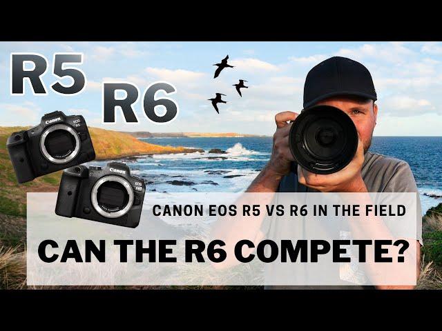 EOS R5 vs R6 In The Field  - Can The R6 Compete? Bird Photography Review