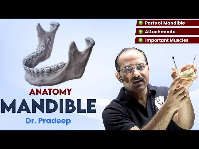 Mandible | Anatomy | Hard Parts Made Easy with Dr. Pradeep Pawar | PW MedEd