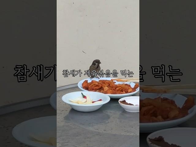 편견없고 낭만이 가득한 곳