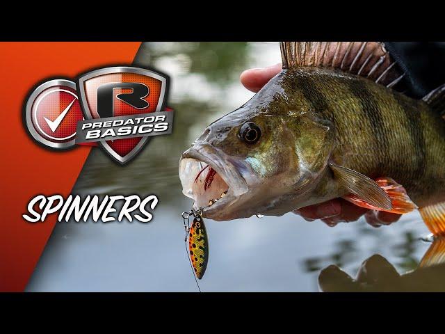 PREDATOR BASICS #4 | How to fish Spinners for Pike, Perch and Zander | Old school fishing methods!