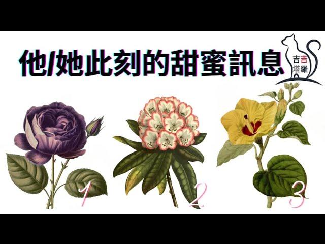 塔羅占卜 | 他她此刻的甜蜜訊息 | 選當下最喜歡的花圖 (Timeless) 【#吉吉121】