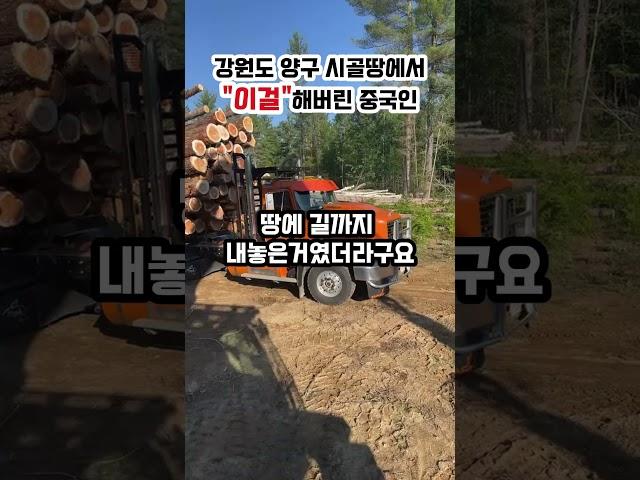 양구 시골땅에 “이걸” 해버린 중국인