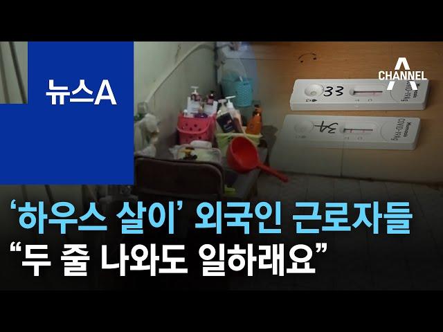 ‘하우스 살이’ 외국인 근로자들 “두 줄 나와도 일하래요” | 뉴스A