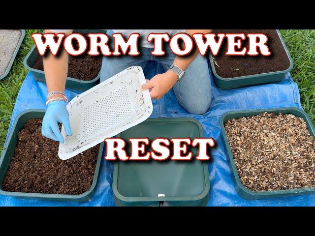 Restart Your Worm Bin After Months of Neglect | Vermicompost Worm Farm