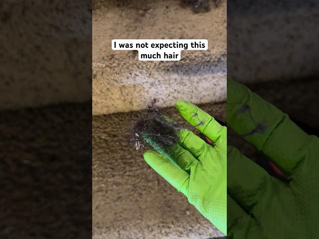 I was not expecting this much hair to be in this carpet #satisfying #cleaning