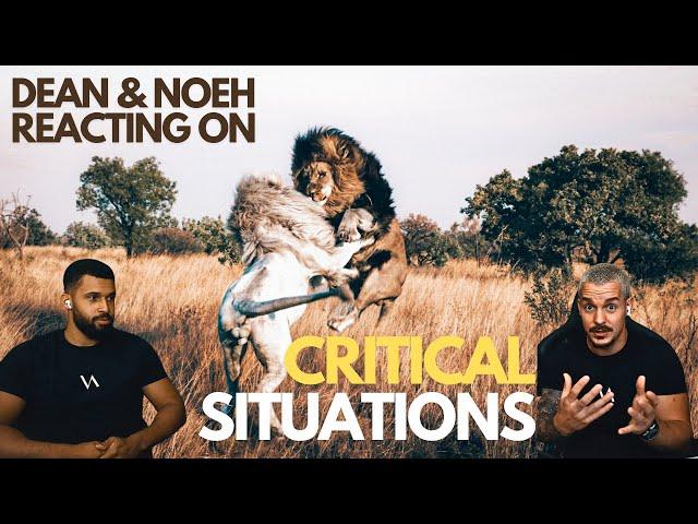 Critical situations with Lions! - Dean Schneider