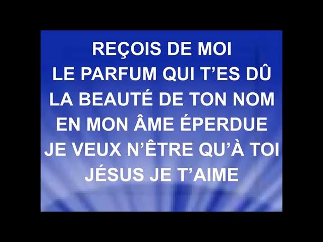 Reçois l'adoration: Paroles