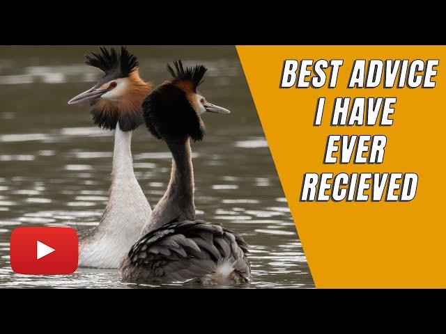 Best advice i have ever been told | A quick look around my local country park | Bird photography