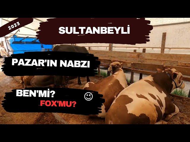 Sultanbeyli Kurban Çadırları | 2023 Kurbanlık Fiyatları