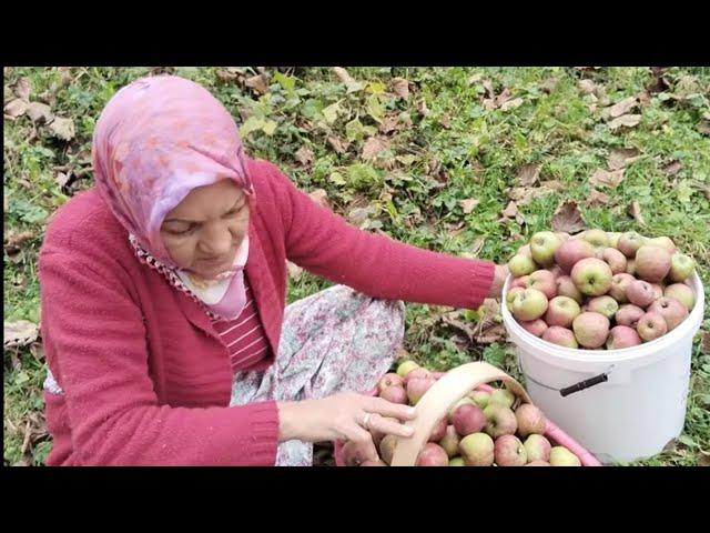 BENİ ÜZEN KİMSEYE HAKKIMI HELAL ETMİYORUM ‼️ CANIMI YAKANIN CANI YANSIN TAKTIM SEPETİ KOLUMA