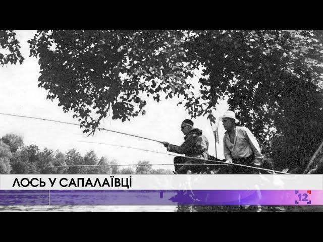 Ретро-Волинь | Лось у Сапалаївці