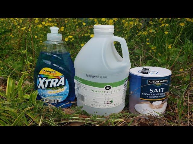 Natural Homemade Weed Killer Recipe Tested by Lawn Care Pro