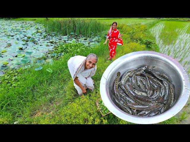 থানকুনি পাতা দিয়ে বর্ষার জ্যান্ত ল্যাঠা মাছের ঝোল রান্না | Village style cooking healthy fish curry