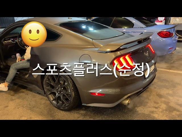 머스탱 2.3 순정/가변 배기음(노말,스포츠+) | Mustang 2.3 ecoboost pure & tuned exhaust sound(normal, sport+)