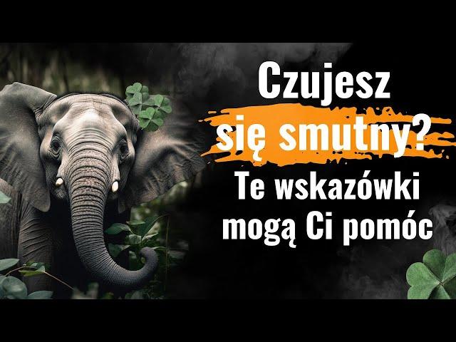 Droga do szczęścia. 100 praktycznych wskazówek na radosne i spokojne życie. Szczęśliwe nawyki.