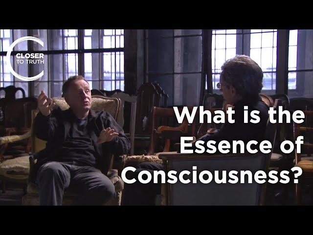 Colin McGinn - What's the Essence of Consciousness?