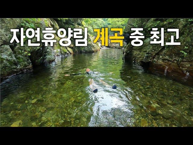 Summer is definitely a water valley! Camping overnight in Natural Recreation Forest South Korea