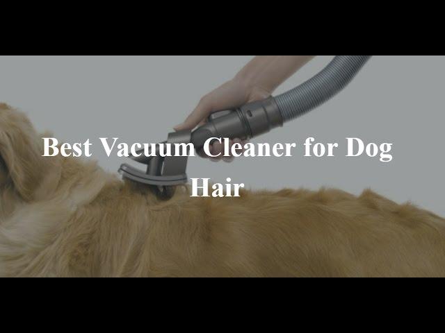 Best Vacuum Cleaner For Dog Hair