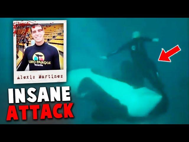 The HORRIFYING Orca Attack on Alexis Martinez | The Untold Truth of SeaWorld's