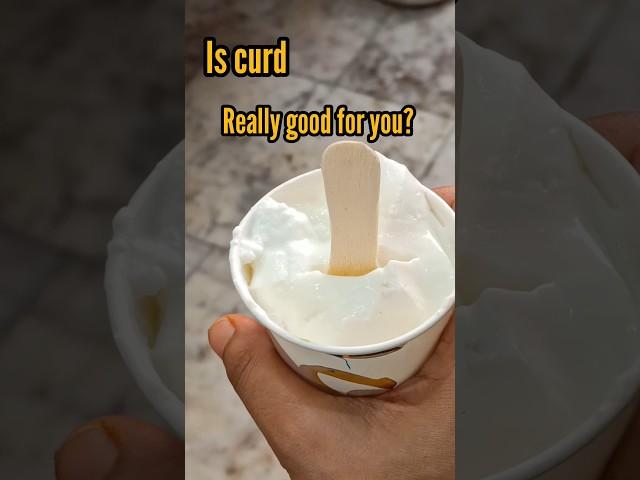 oh  no! is curd good for you?#shortsfeed #shortsvideo #indianfood #food