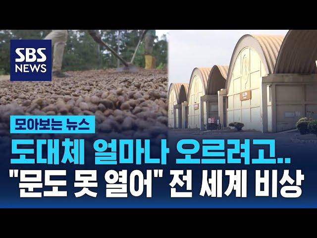 도대체 얼마나 오르려고…"문도 못 열어" 초콜릿 비상 / SBS / 모아보는 뉴스