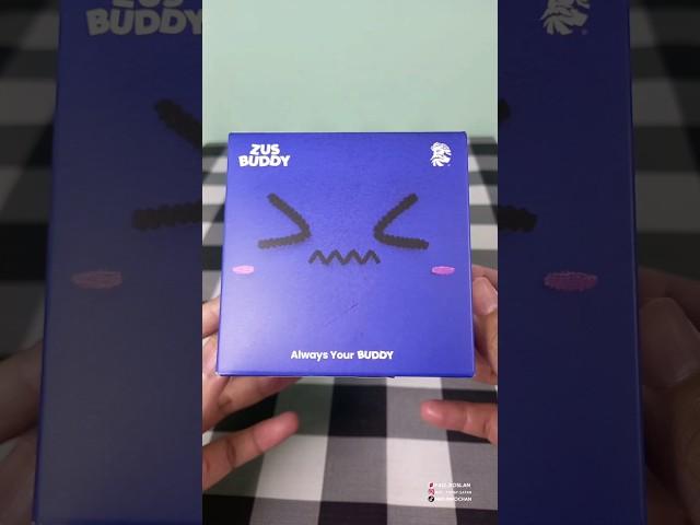 ZUS BUDDY BLIND BOX / ANXIETY