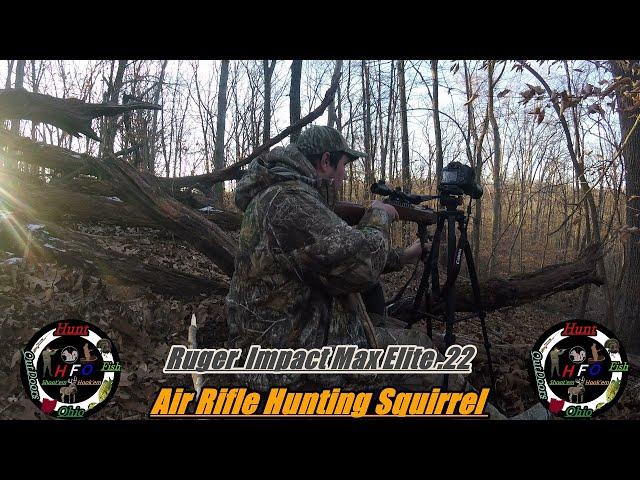 Squirrel Hunting With Air Rifle Ep 3   Late Season Hunt   2021