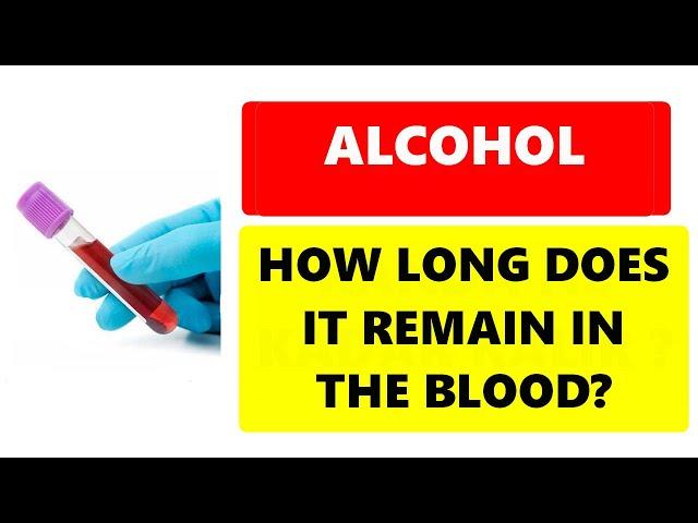 ALCOHOL TEST : HOW LONG DOES IT STAY IN THE BLOOD?