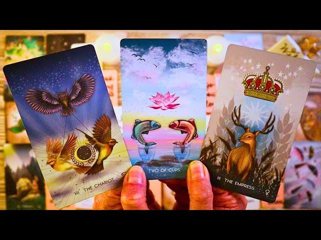 GETTING OVER EGO, ENDING NO CONTACT!! FINALLY!! ️ LOVE TAROT READING