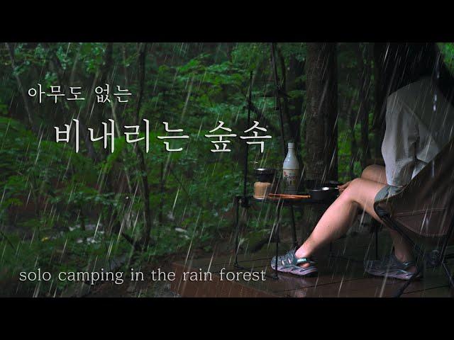 [4K] Solo Camping in Rain Forest | 비내리는 숲속 | 폭우캠핑 | 우중캠핑 | solo camping | 빗소리 asmr