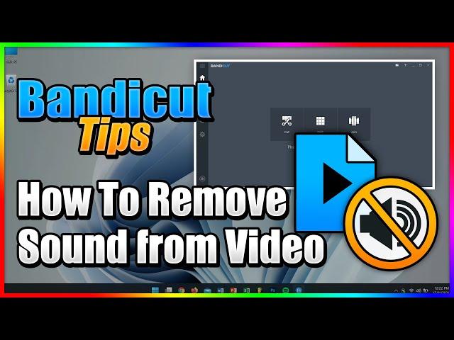 How to Remove Sound from video - Bandicut Video Cutter