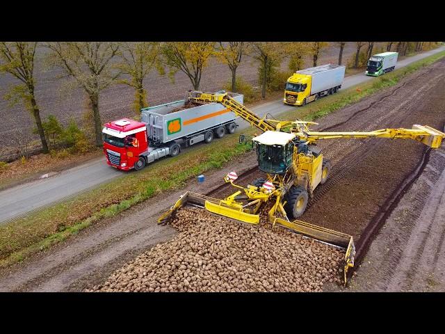 Ropa Maus loading sugar beets