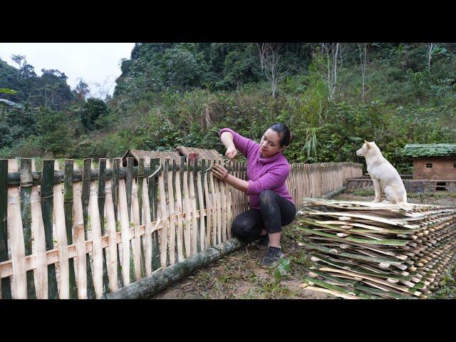 Building Bamboo fence 2022, farm life - Ep.113 | ltc