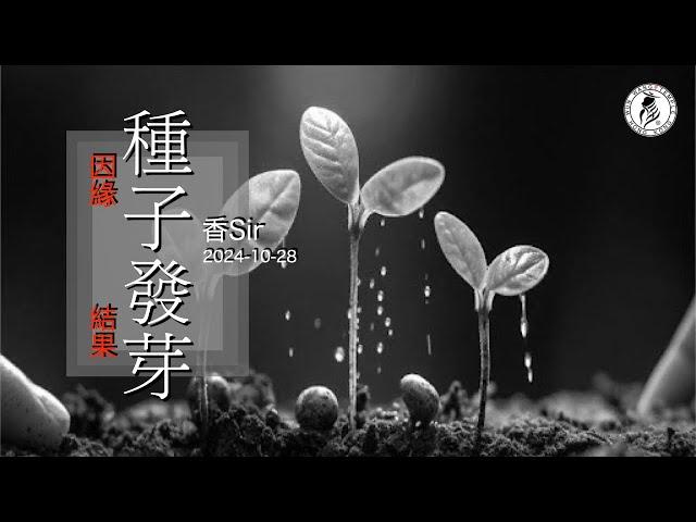 你種下的種子經歷灌溉那有可能會不發芽？| 種子可以你父母或祖先種下 | 你也同樣灌溉 | 香港文王殿/怡保南都居 | 香Sir | （cc中字）