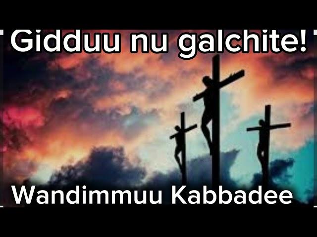 || Gidduu nu galchitee || Wandimmuu Kabbadee!