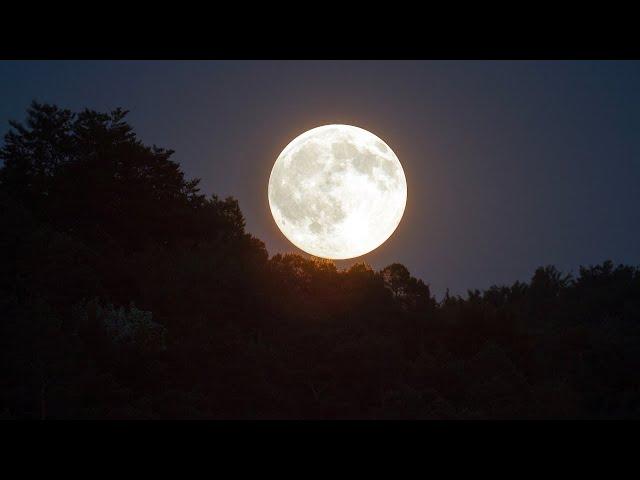 4K FULL MOON VIDEO | Free Stock Footage | Free HD Video - no copyright