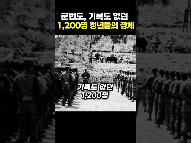 군번도, 기록도 없던 1200명 한국 청년들의 정체