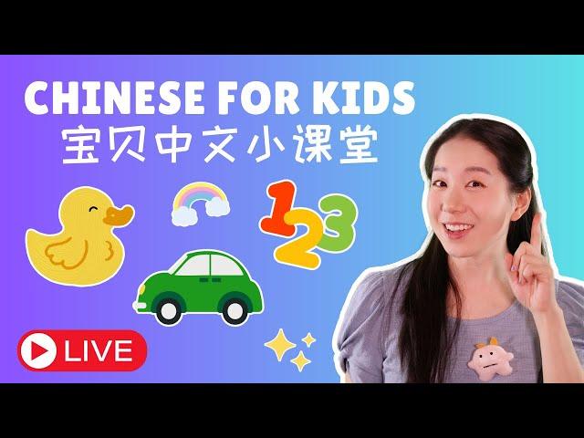 Baobei Chinese Topic Lessons 宝贝中文小课堂