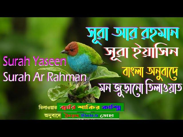 সূরা আর রহমান(Surah Ar Rahman-سورة الرحمن) ও সূরা ইয়াসিন (Surah Yaseen-سورة يس) এর কুরআন তিলাওয়াত