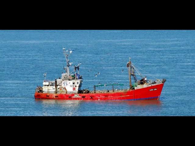 Si vas para el sur - Puerto Deseado Canta