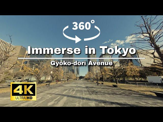 【4K・360°】Boulevard of Brilliant Tokyo Dreams on Gyoko-dori in Japan #travel #vr #immersive