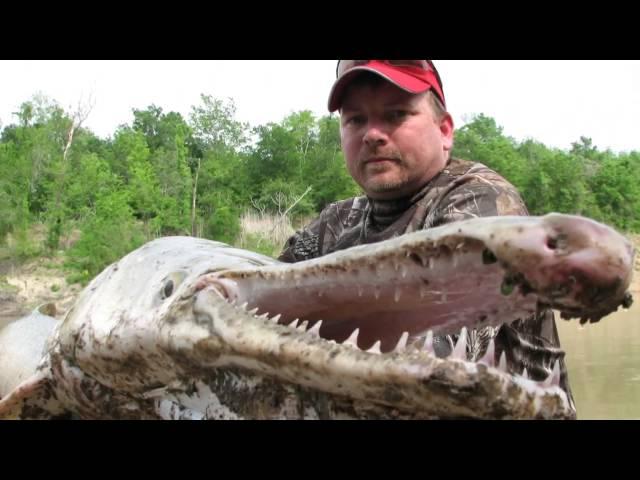 THE QUEST FOR GARZILLA THE REAL TEXAS RIVER MONSTER the ALLIGATOR GAR!