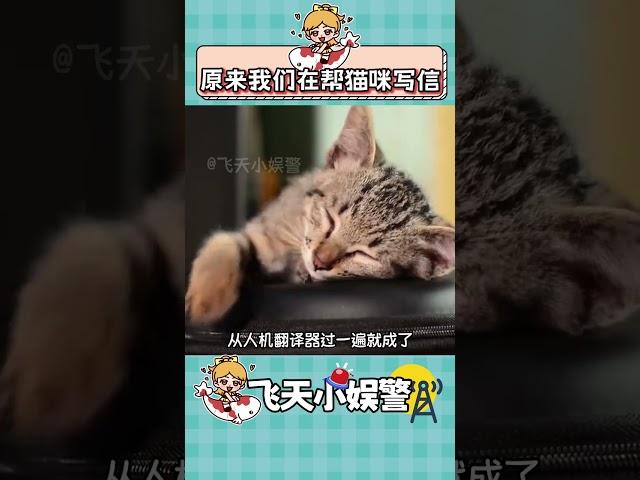 我同意幫貓咪李華寫英語作文！ #貓咪 #萌寵 #李華 #萬萬沒想到 #英語作文