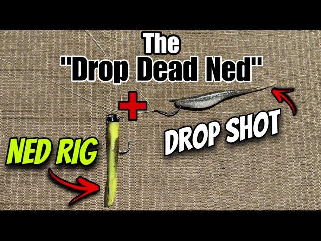 NEW Drop Shot Fishing Technique. “The Drop Dead Ned” Ned Rig x Drop Shot Hybrid.