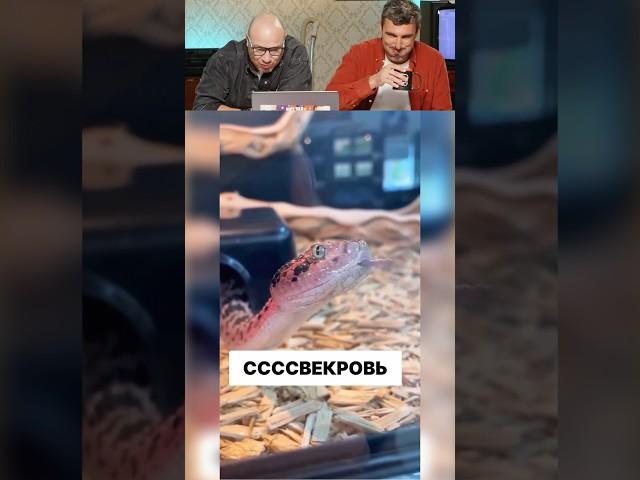 Попробуй НЕ Засмеяться #мемы #юмор #смех